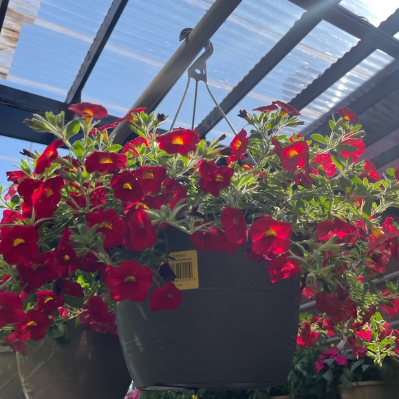 Meet your Posher, Leeaura - Picture 1 of 1